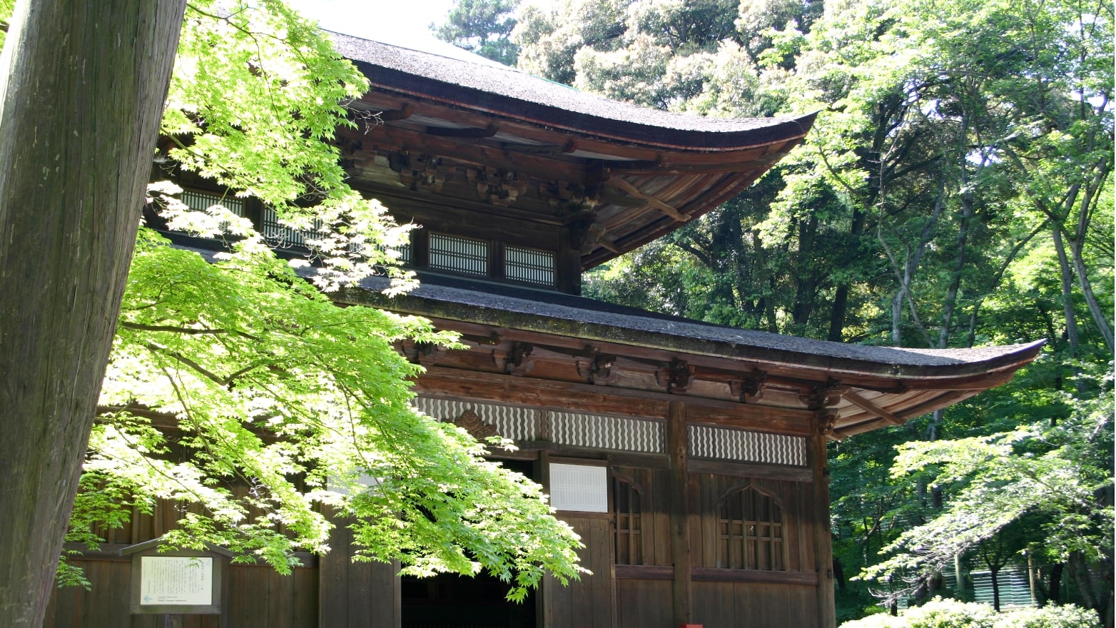 三井寺の四季　夏